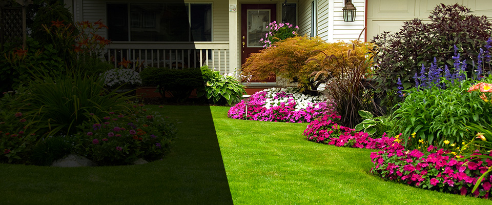 San Diego Landscapers