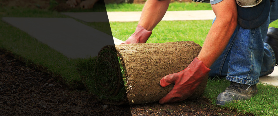 San Diego Landscapers